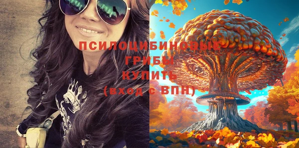 марки nbome Козловка