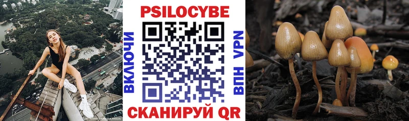 Галлюциногенные грибы MAGIC MUSHROOMS  Динская 
