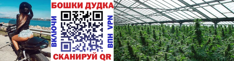 МАРИХУАНА THC 21%  площадка формула  Динская 